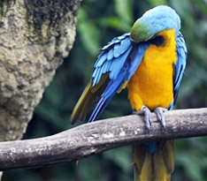 �׿�Windows 8.1�������}